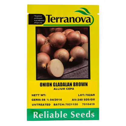 Terra Nova Onion - Gladalan Brown