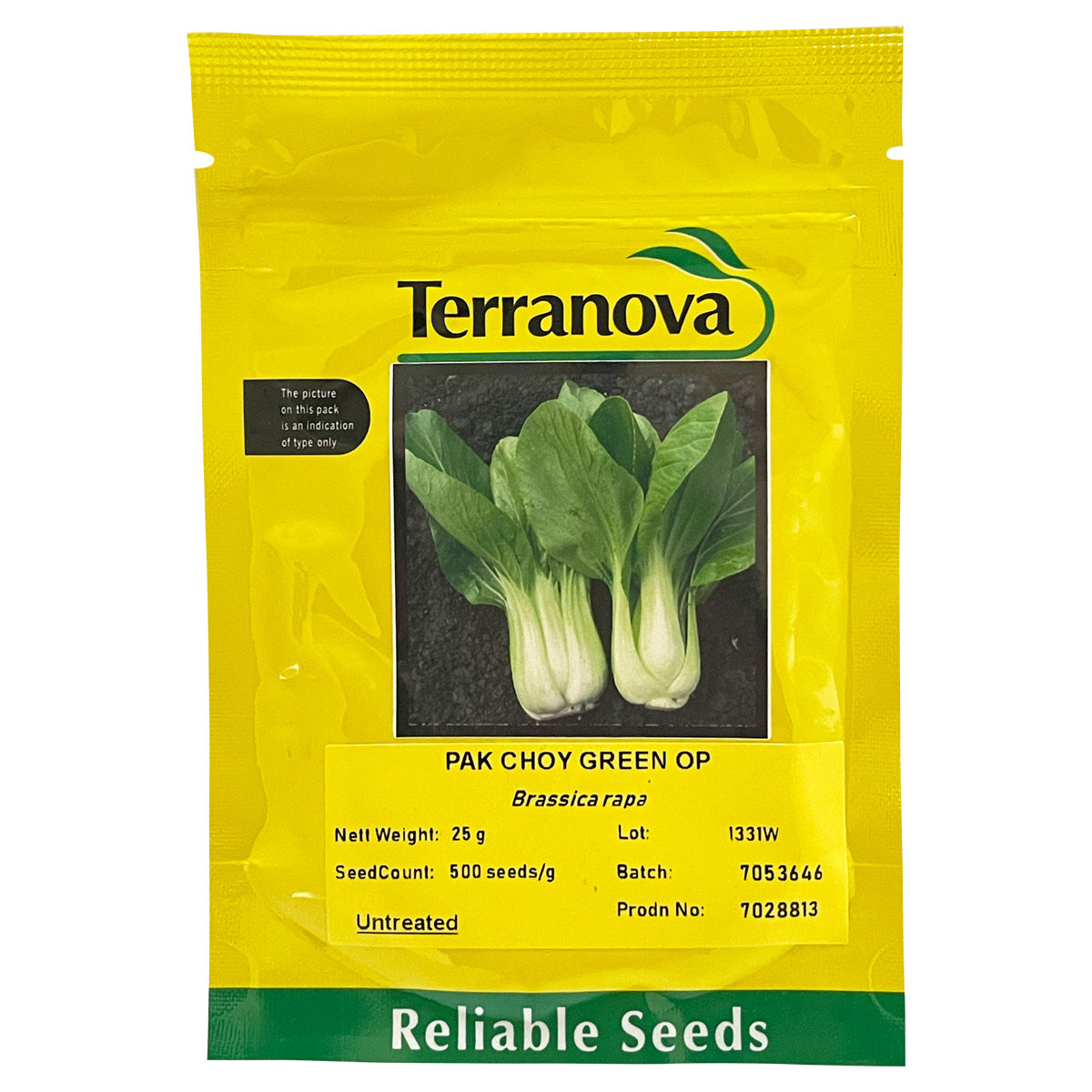 Terranova Pak Choy Green OP – Newton Seed (a division of Village Green ...