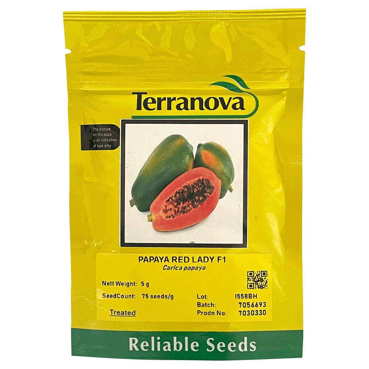 Terra Nova Papaya Red Lady