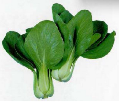 Terra Nova Pak  Choy Green OP