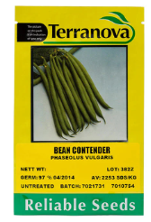 Terra Nova Bean - Contender