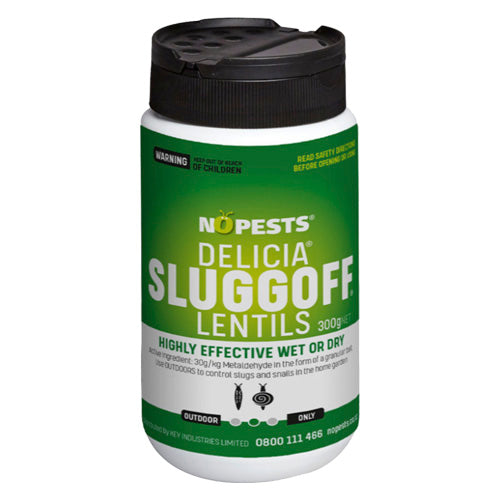 Sluggoff Lentils