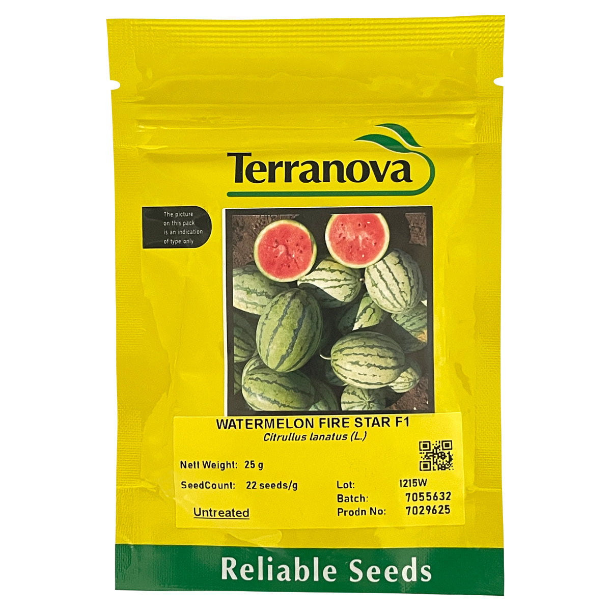 Terra Nova Watermelon Fire Star