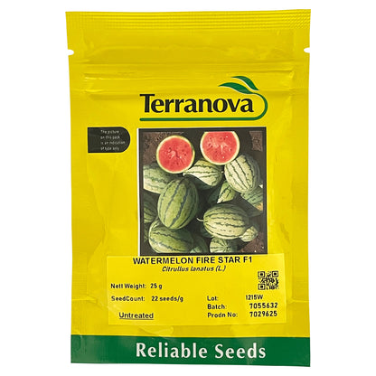 Terra Nova Watermelon Fire Star