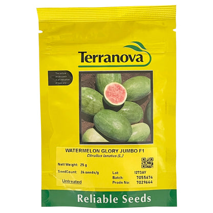 Terra Nova Watermelon Glory Jumbo