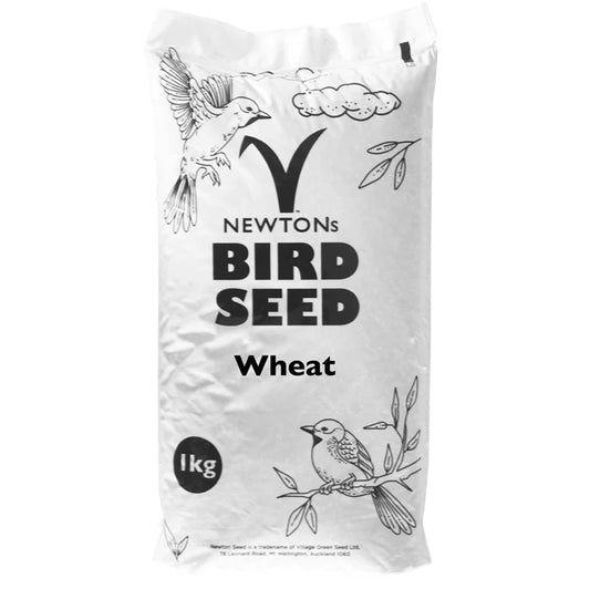 Dressed Wheat