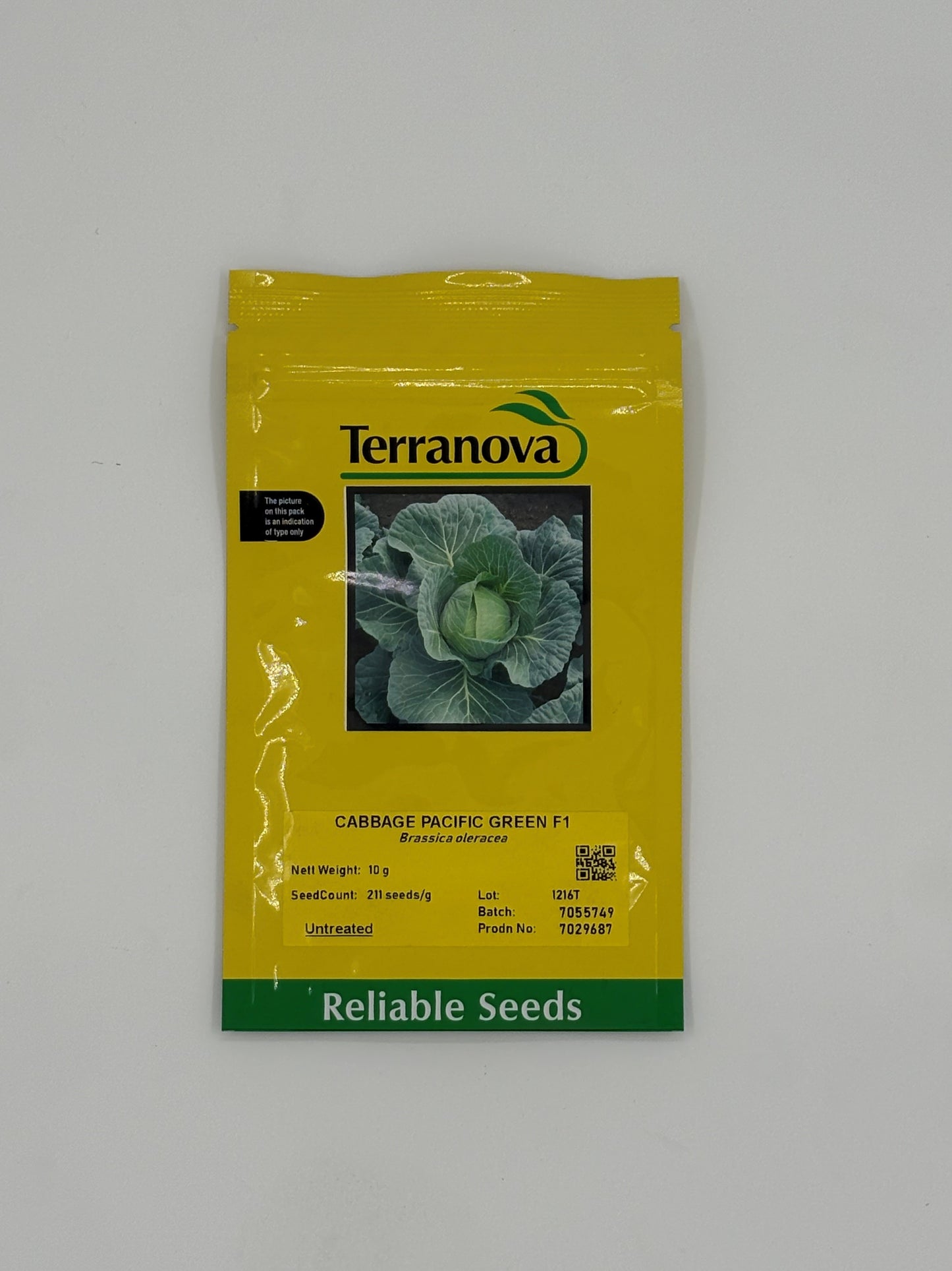 Terra Nova Cabbage Pacific Green F1 Hybrid