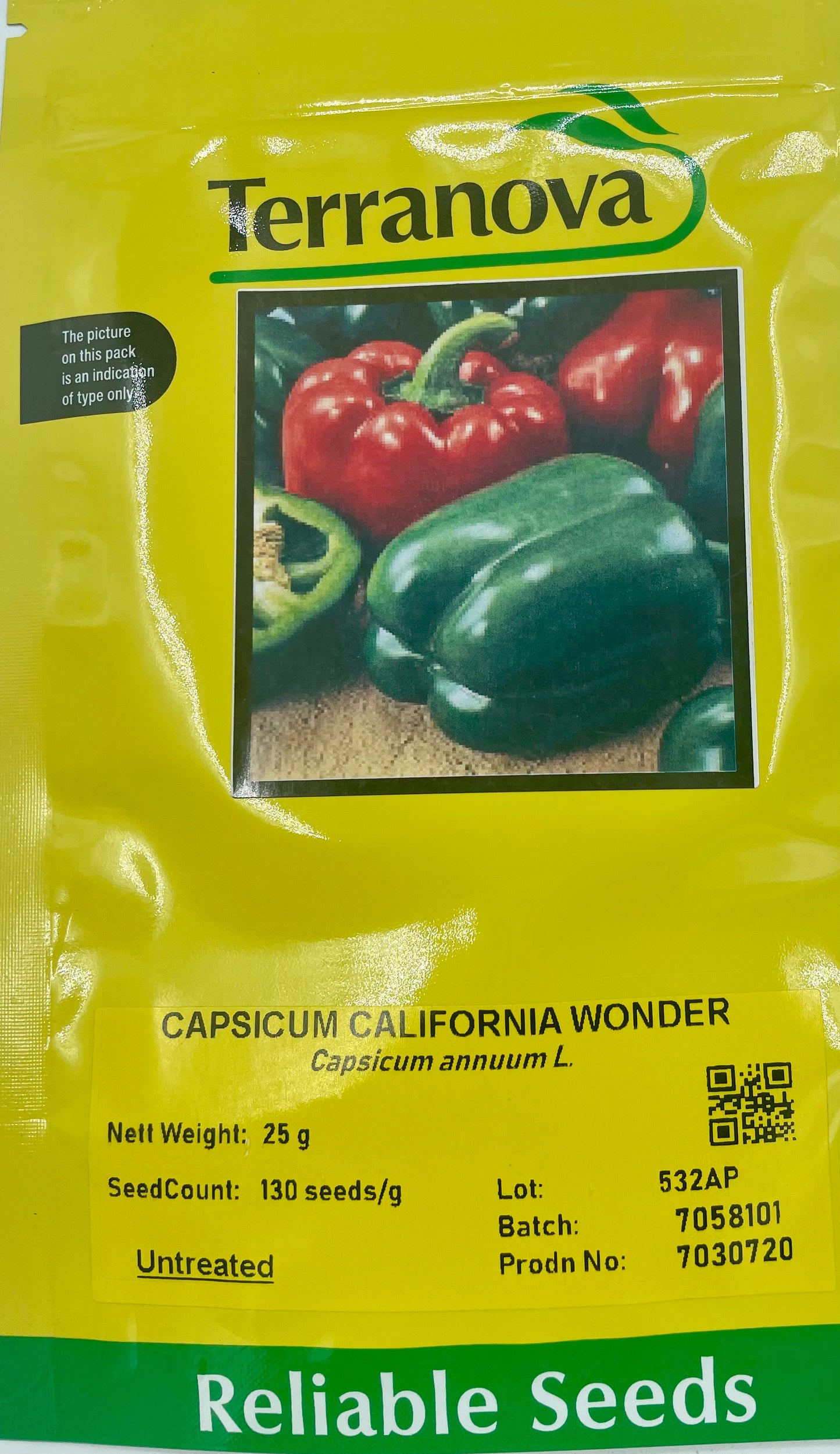 Terranova Capsicum California Wonder