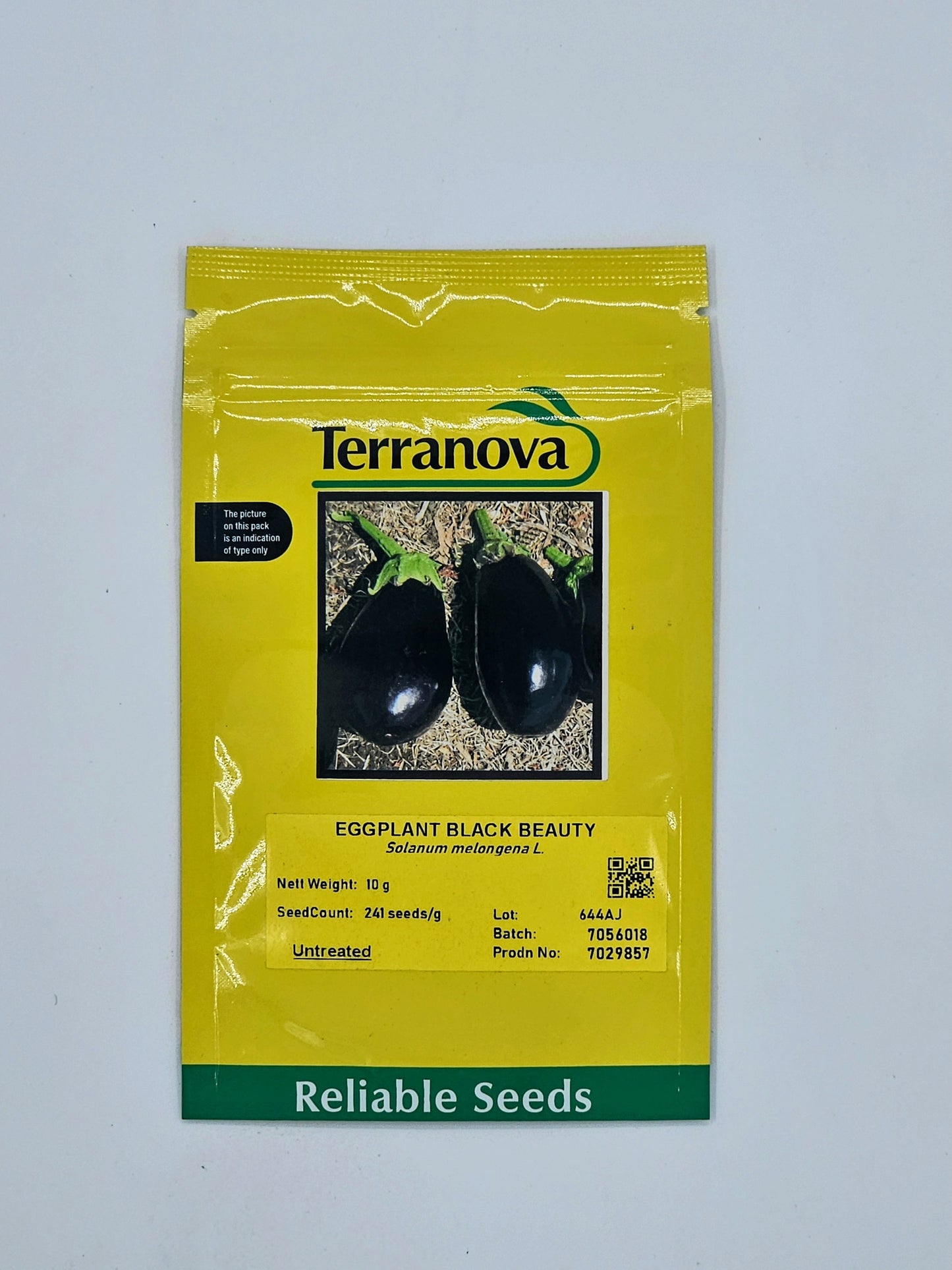 Terra Nova Egg Plant Black Beauty