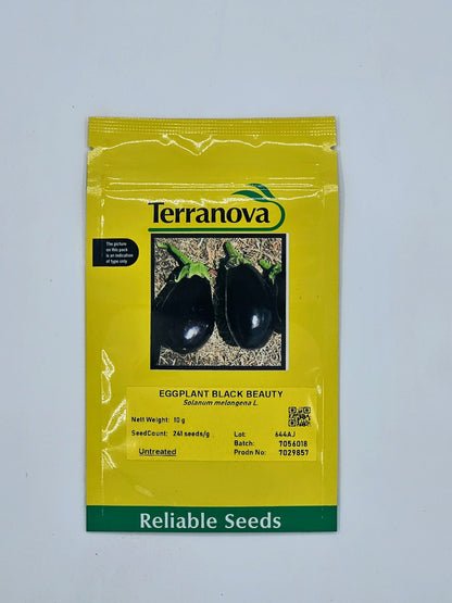 Terra Nova Egg Plant Black Beauty
