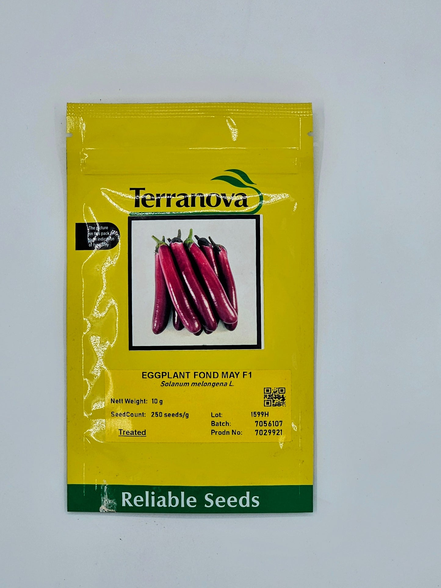 Terra Nova Egg Plant Fond May F1