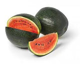 Terranova Watermelon Sugar Belle F1