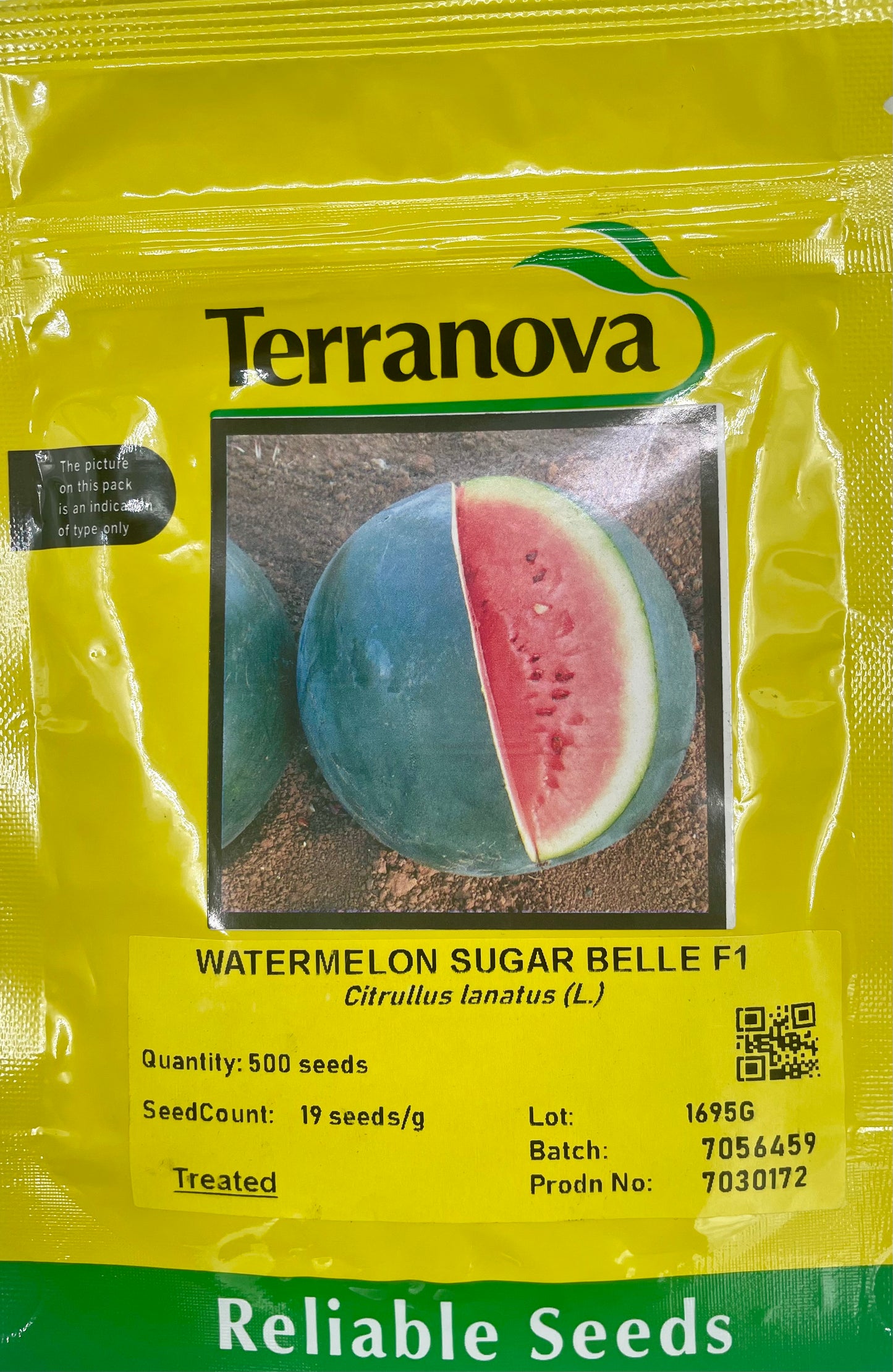 Terranova Watermelon Sugar Belle F1