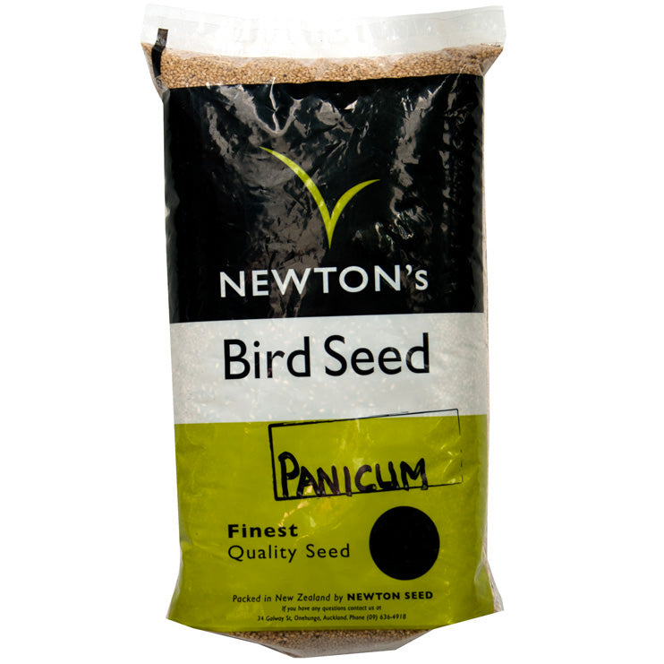 Panicum – Newton Seeds